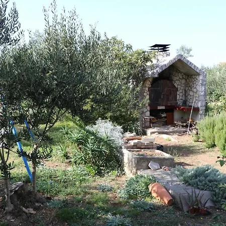 Ramesa * مورتير